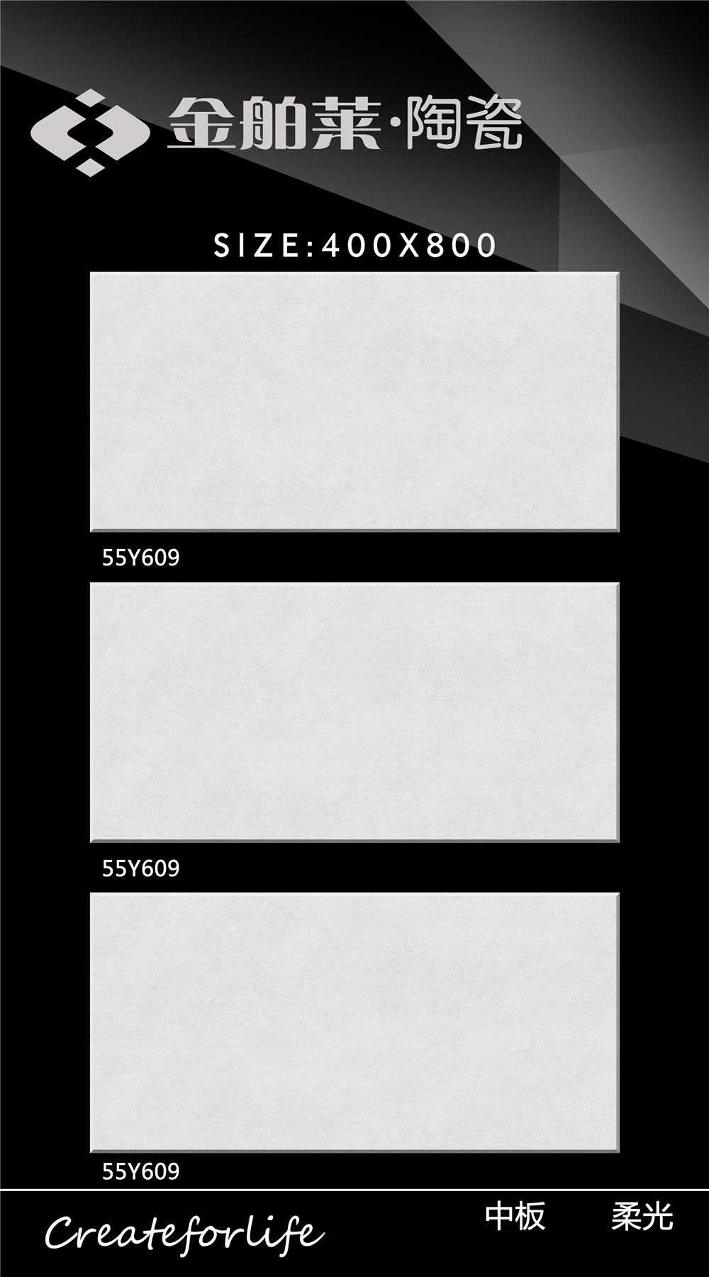 55Y609
