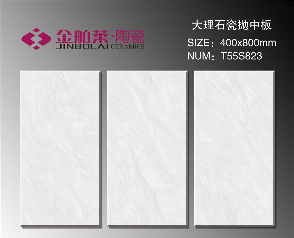 T55S823