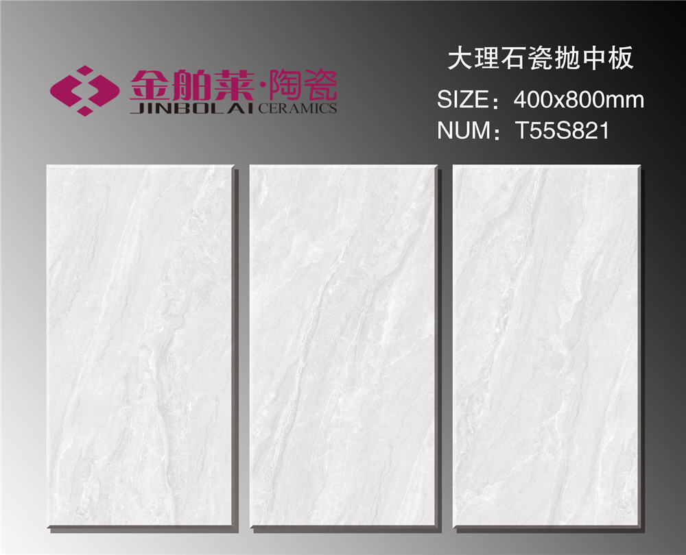 T55S821