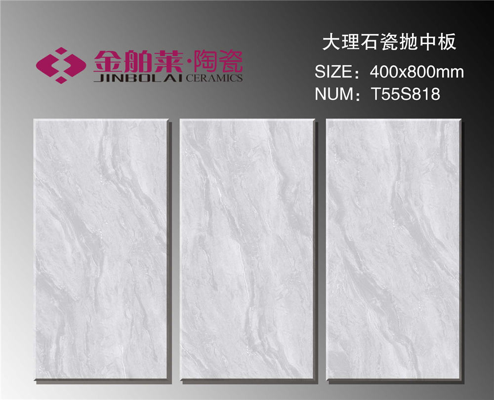 T55S818