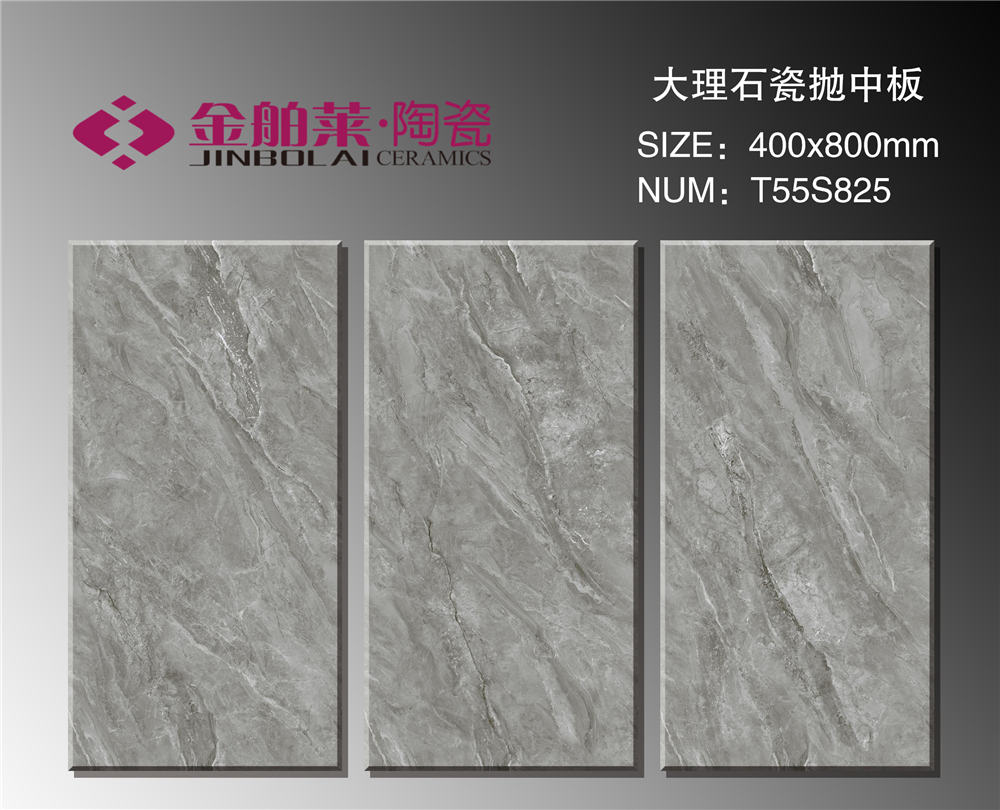 T55S825