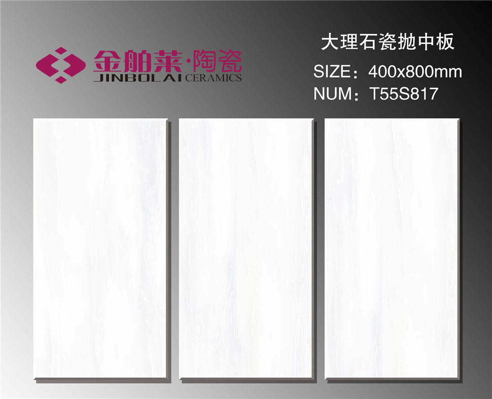 T55S817