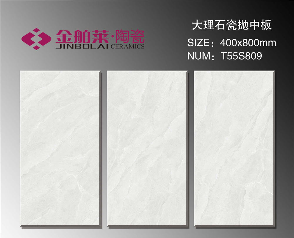 T55S809