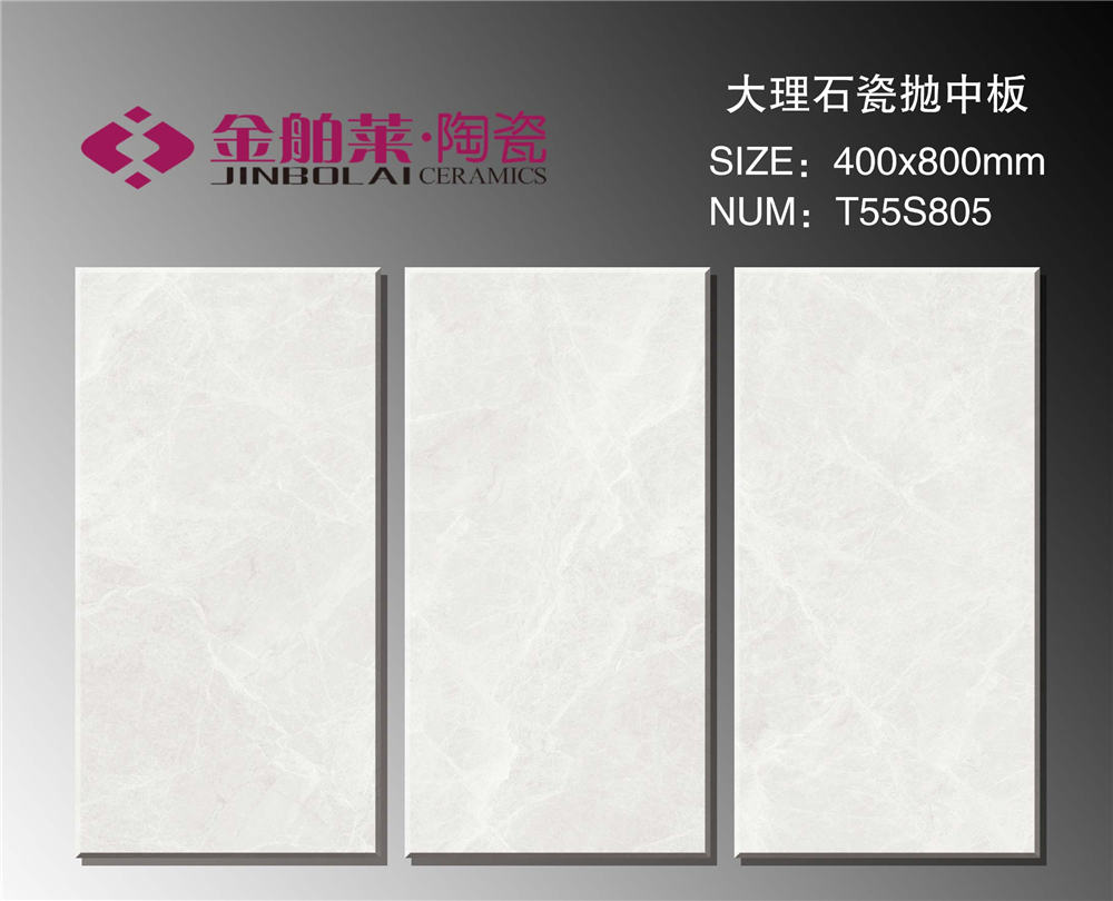 T55S805