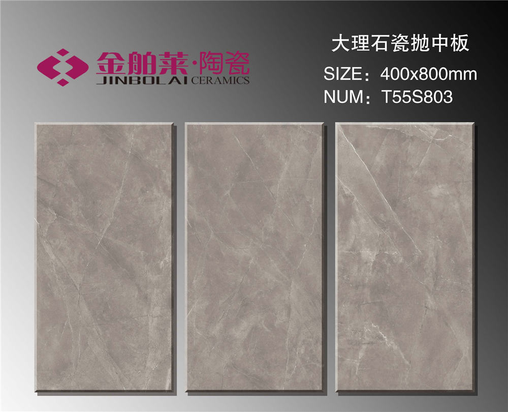 T55S803