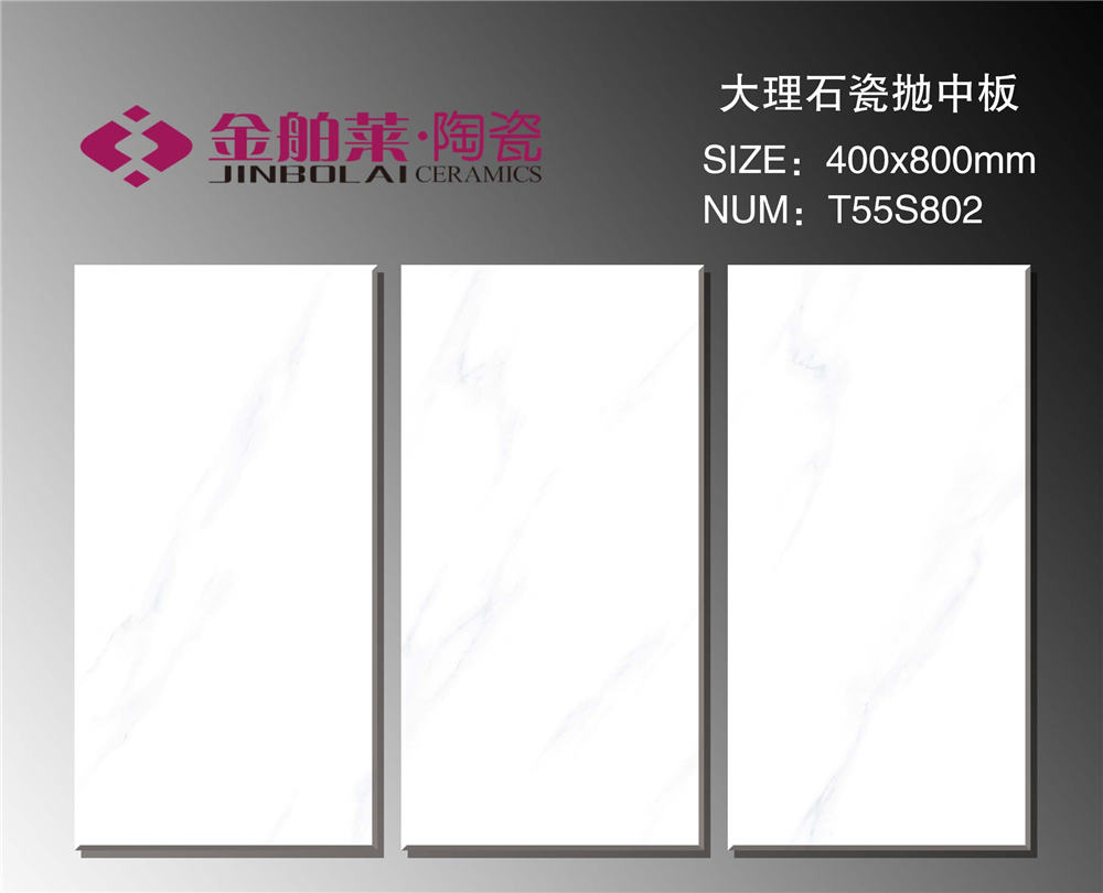 T55S802