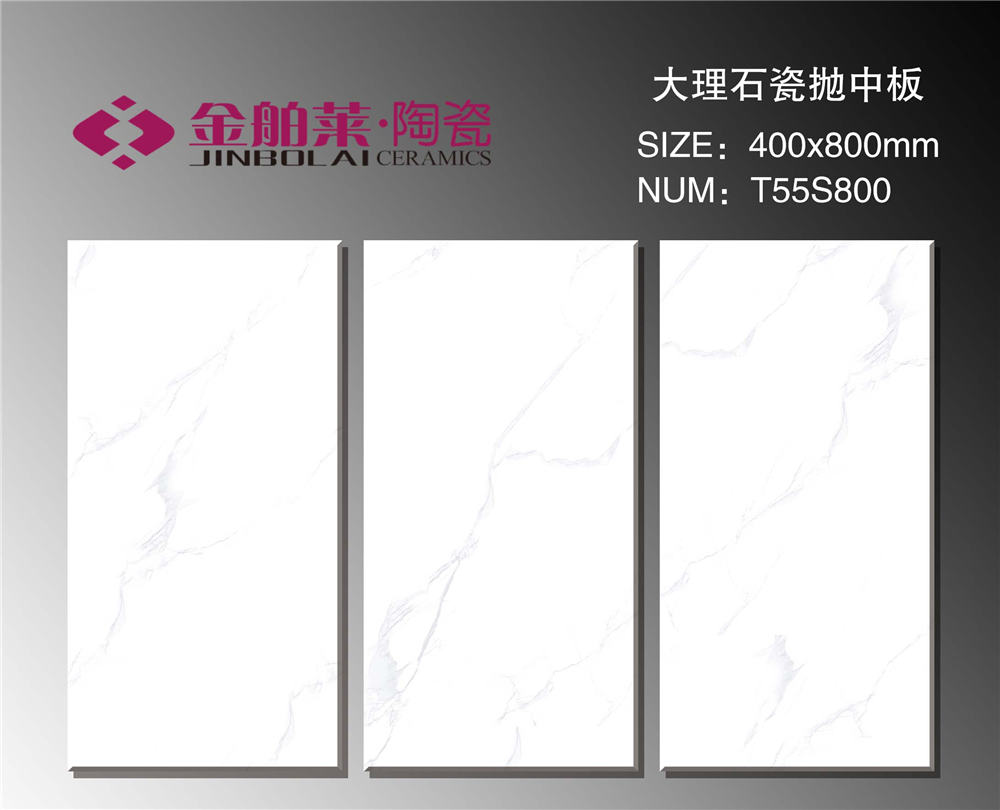 T55S800